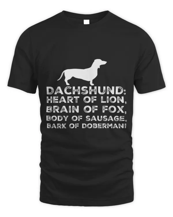 Lion Pet Dachshund dog like lion fox