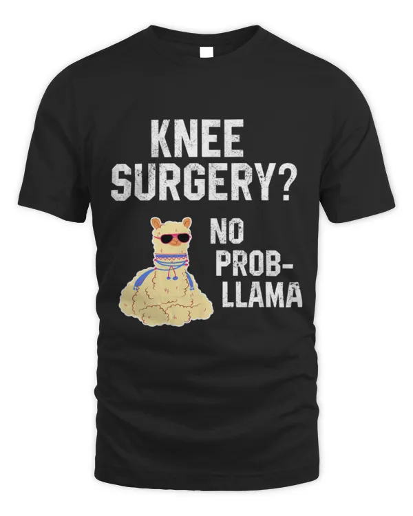 Llama Pet Knee Surgery No Prob llama Knee Replacement Recovery Alpaca 21