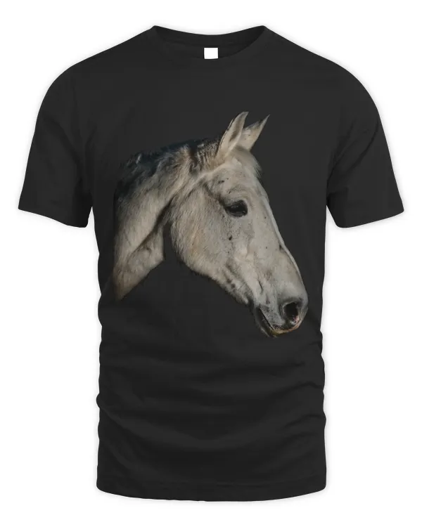 Horse Pet Portrait of white horse
