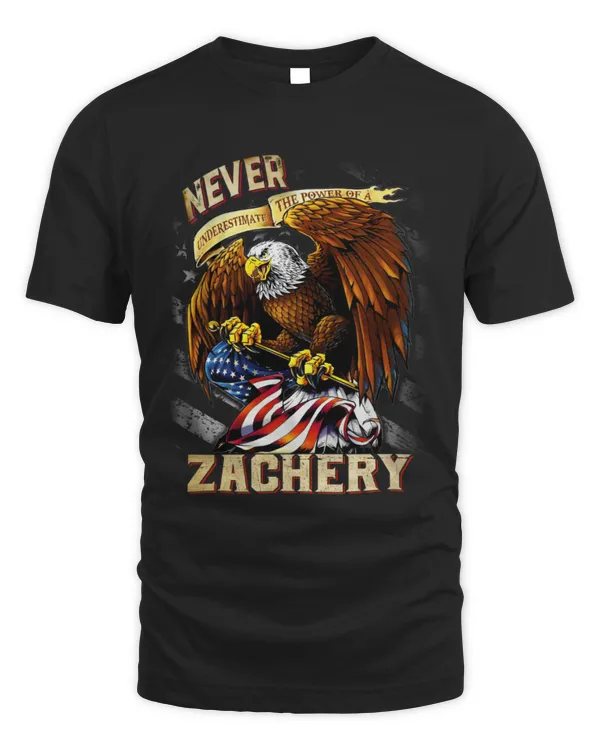ZACHERY ALY-TS-DS06