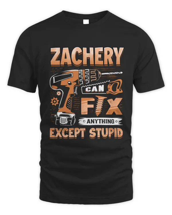 ZACHERY ALY-TS-DS12