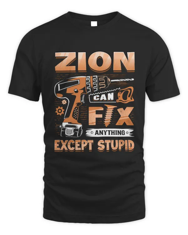 ZION ALY-TS-DS12