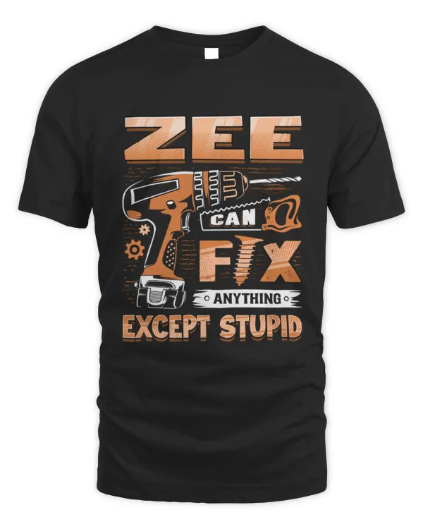 ZEE ALY-TS-DS12