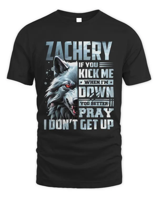 ZACHERY ALY-TS-DS13