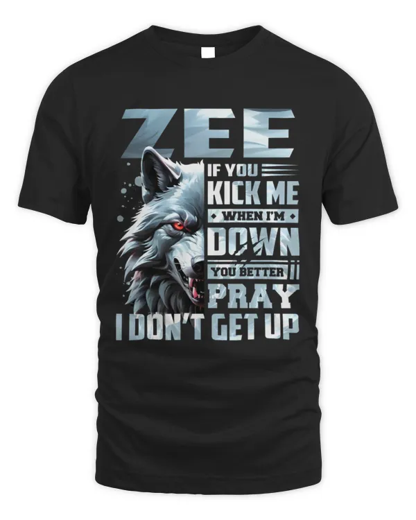 ZEE ALY-TS-DS13