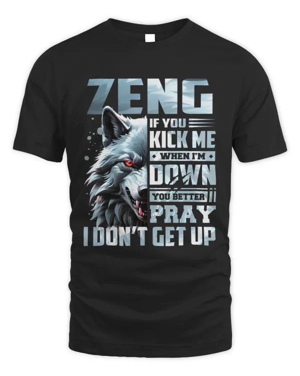 ZENG ALY-TS-DS13