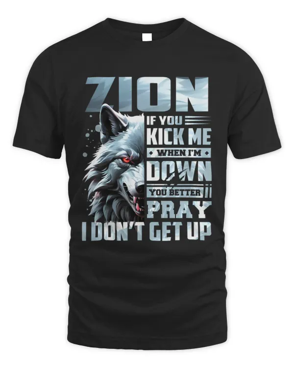 ZION ALY-TS-DS13