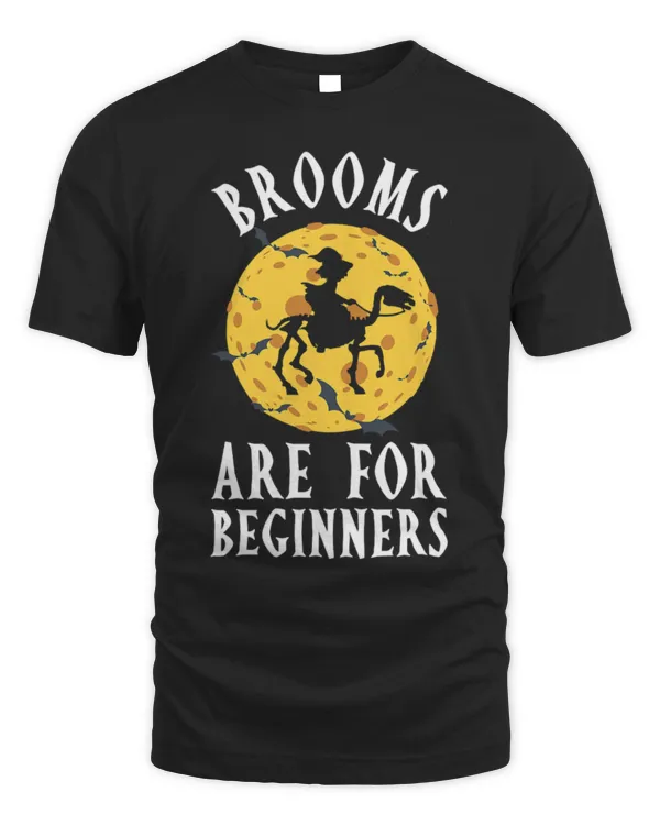 Horse Pet Womens Brooms Are For Beginners Funny Horse Witch Horseman