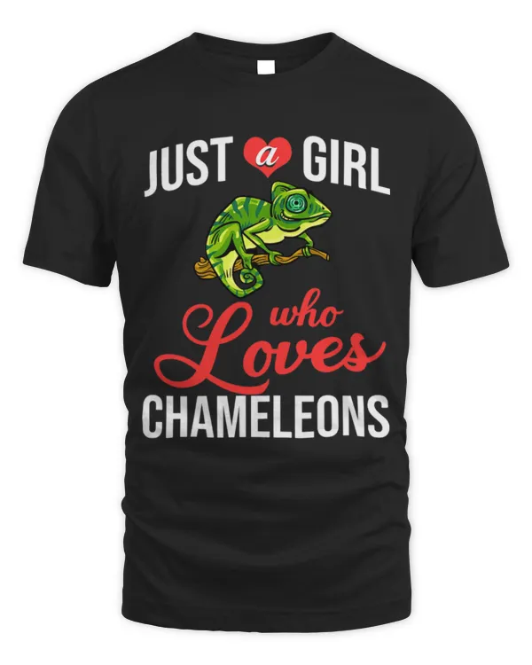 Cute Chameleon Lizard Cage Reptile Enclosure 10