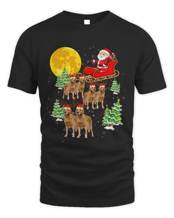 Cute Golden Retriever Reindeer Golden Retriever Dog With Santa Sleigh Xmas Holiday