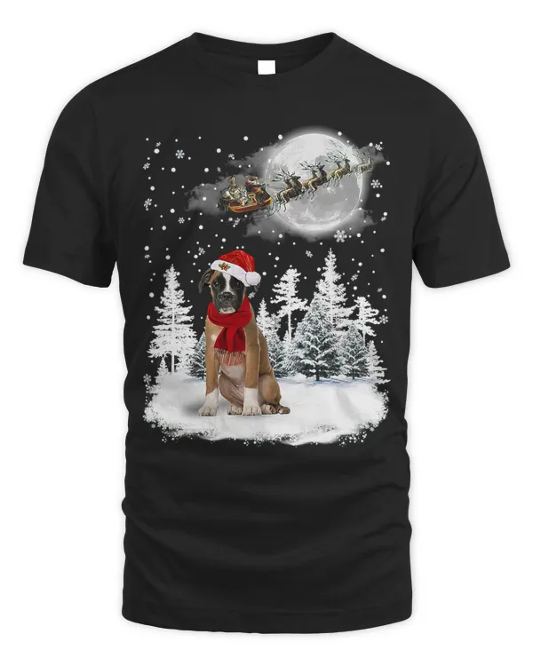 Boxer On Snow Christmas Moon Lighting Santa Hat25