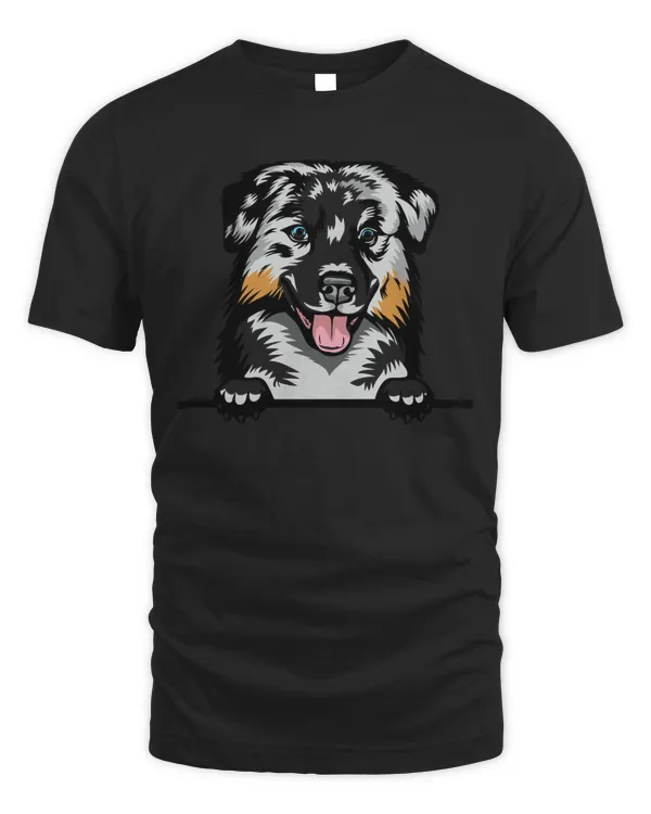 Animal Dog Australian Shepherd