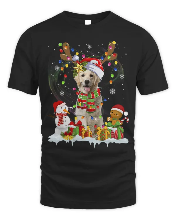 Golden Retriever Christmas Ugly Sweater Dog Santa Hat Lights576