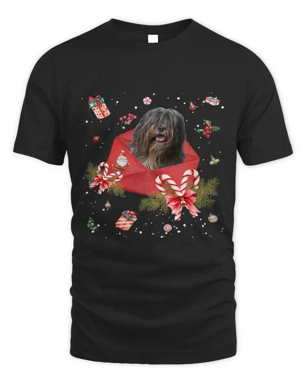 Bearded Collie Dog In Christmas Card Ornament Pajama Xmas436