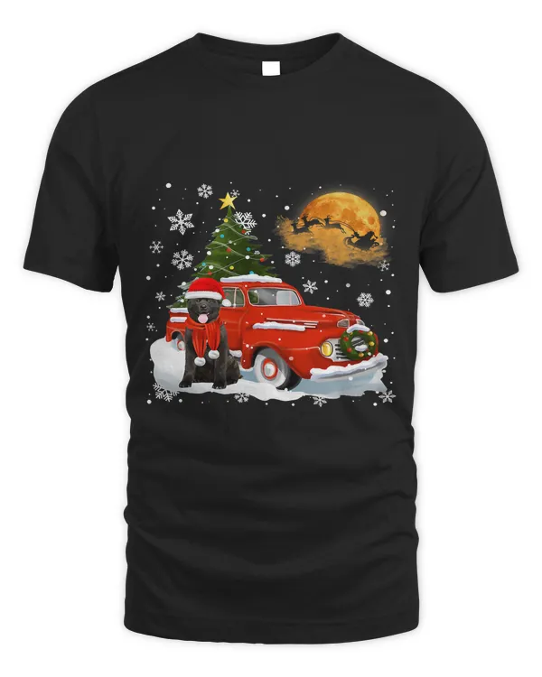 Akita Vintage Wagon Red Truck Christmas Tree Pajamas73