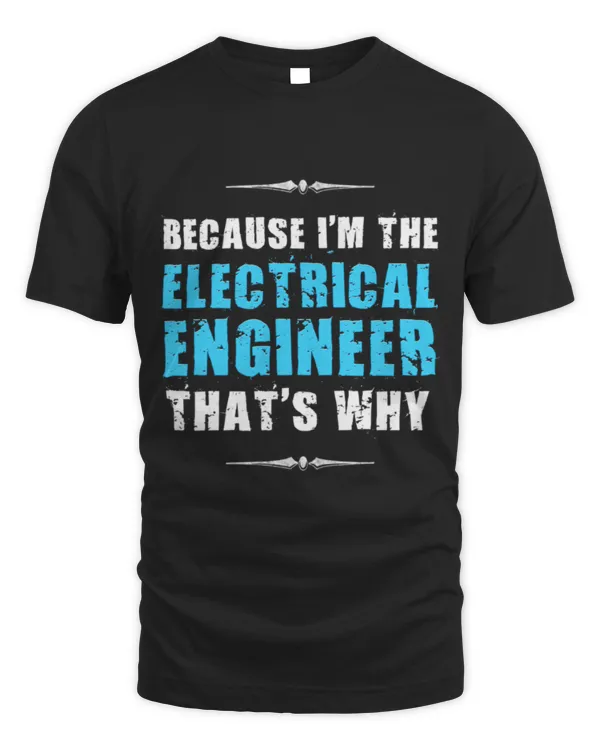 Because I'm the Electrical Engineer