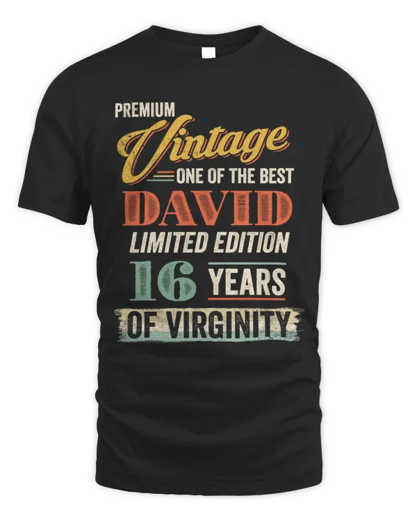 PREMIUM VINTAGE ONE OF THE BEST DAVID LIMITED EDITION 16 YEARS OF VIRGINITY T-SHIRT, BIRTHDAY T-SHIRT, GIFT T-SHIRT, CUSTOM T-SHIRT