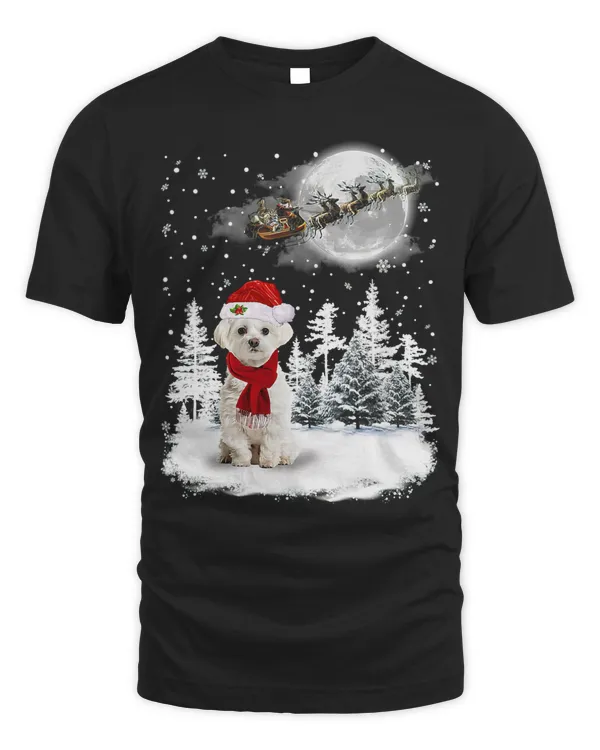Maltese Dog Under Moonlight Snow Christmas Pajama 293