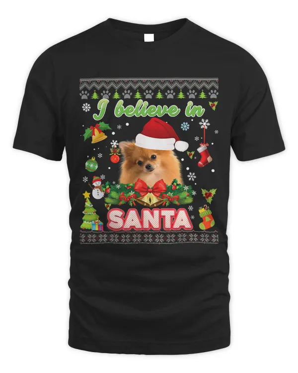 I Believe In Santa Pomeranian Dog Christmas Sweater Ugly
