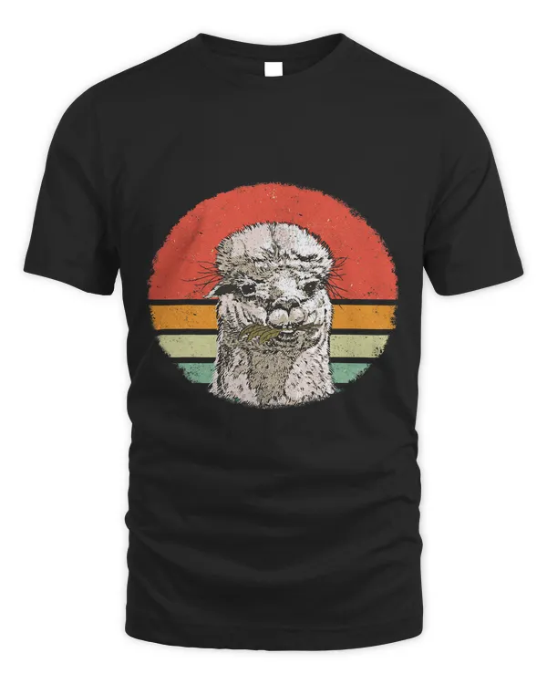 Alpaca Retro Sunset