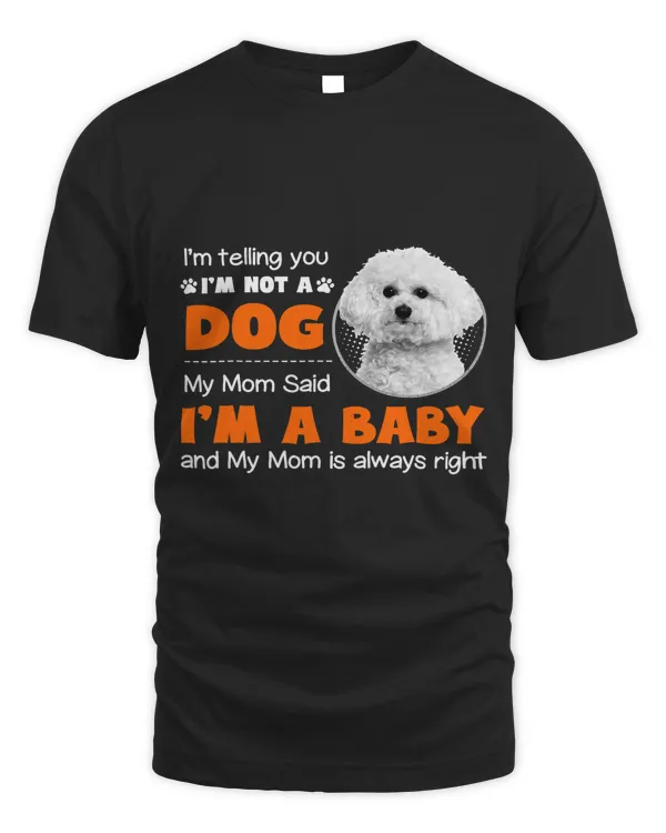 Bichon Frise dog mom telling you Im not a dog Im a baby