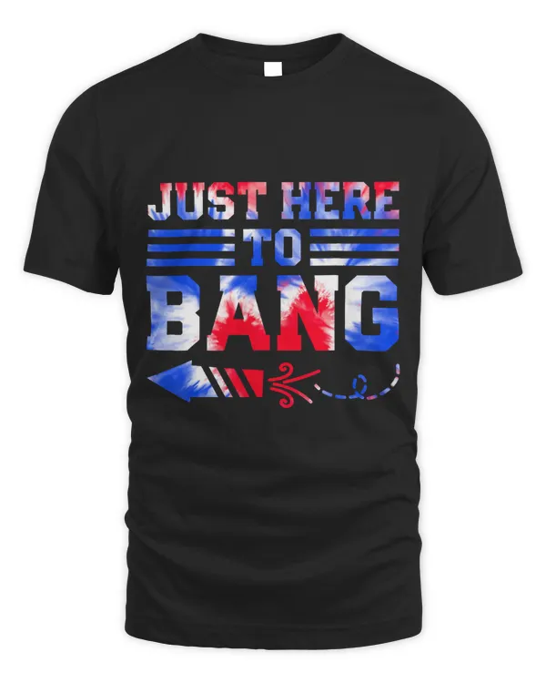 Im Just Here to Bang 4th of july american independence day