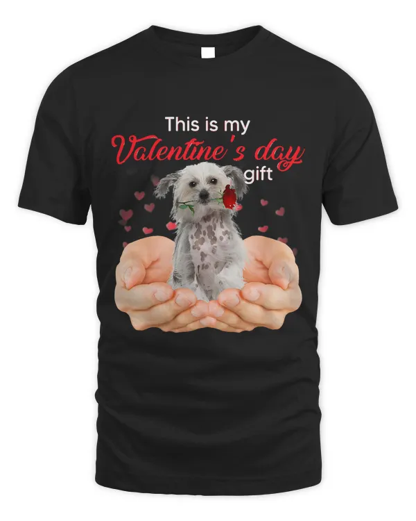 Cute Chinese Crested dog This Is My Valentines Day Pajama