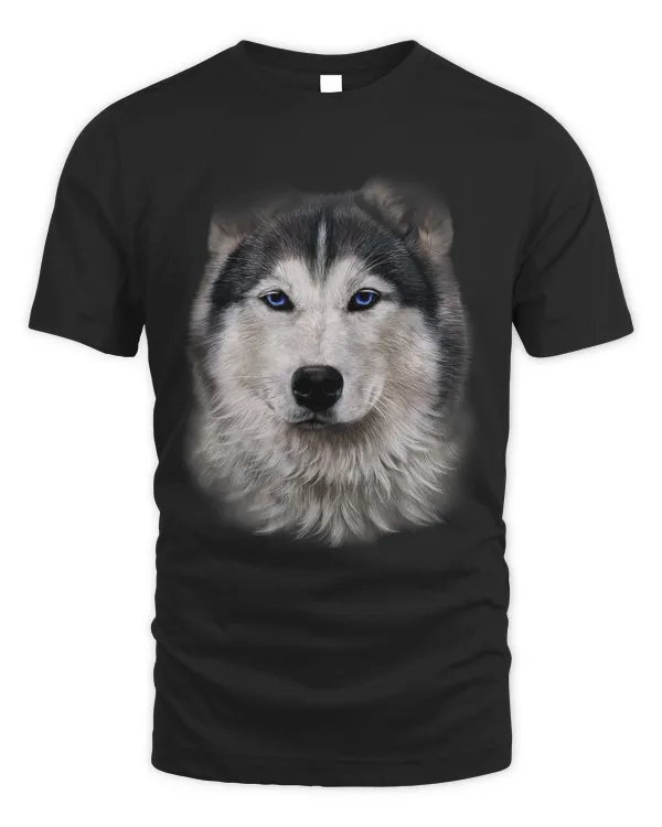Beautiful Siberian Husky Dog Face