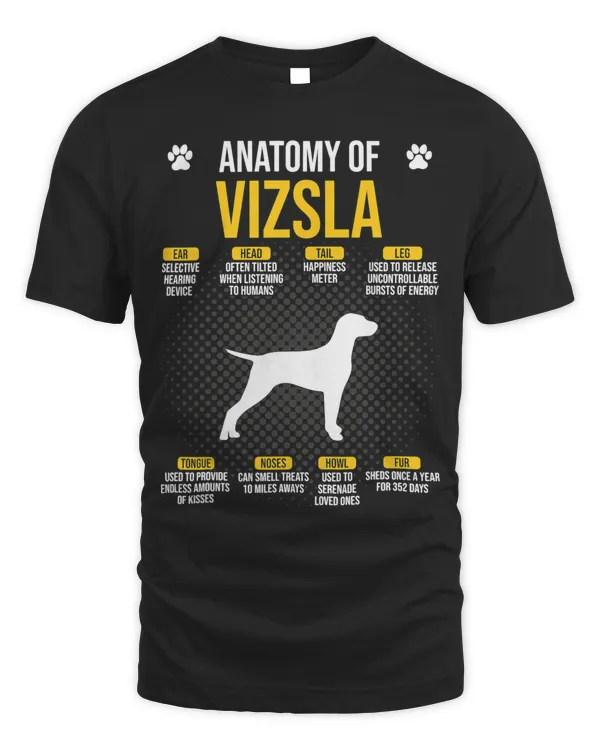 Anatomy Of Vizsla Dog Lover