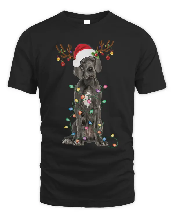 Great Dane Christmas Reindeer Light Pajama Funny Dog Lover