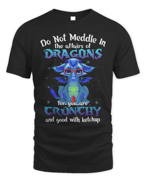 Funny Dragon Saying Do Not Meddle in the Affairs of Dragons