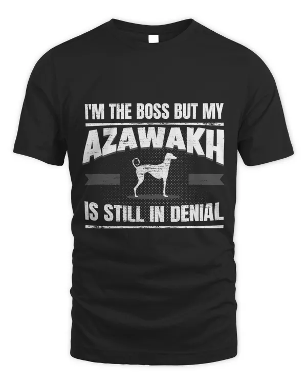 Azawakh Greyhound 6
