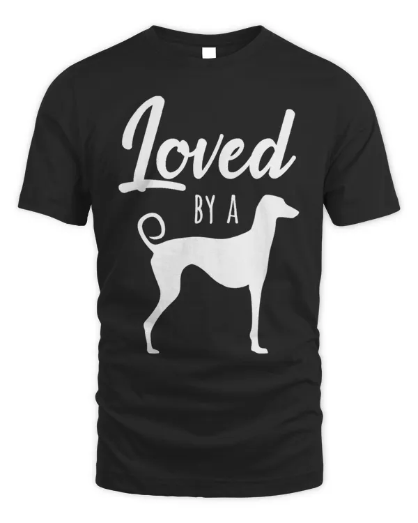 Azawakh Greyhound 6337