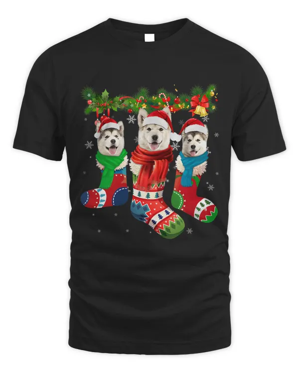 Three Alaskan Malamutes In Christmas Socks