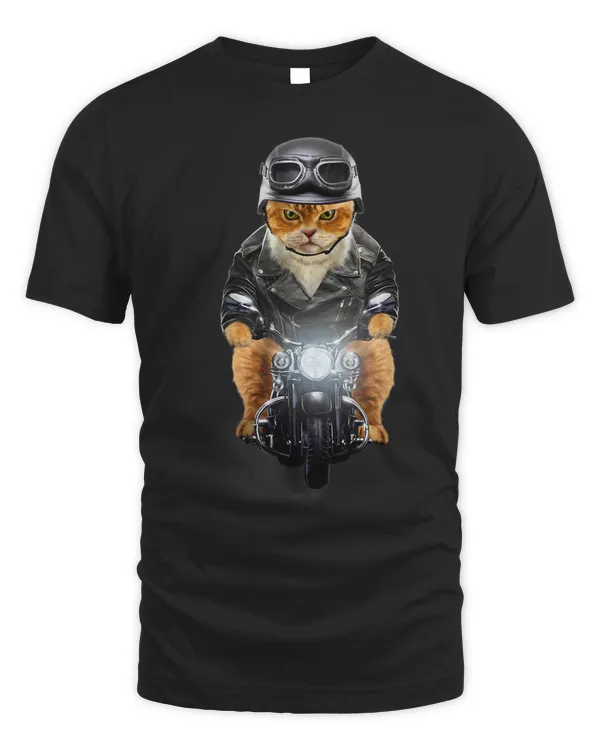 Orange Cat Solo Motorcycle Touring Biker