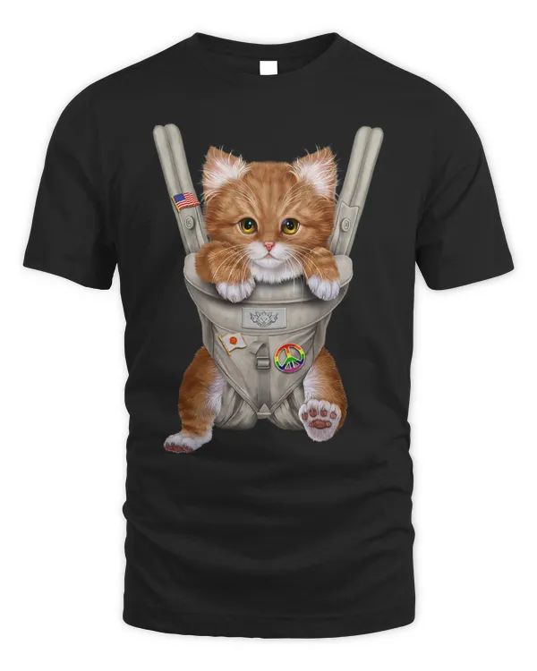 Orange Tabby Cat in Baby Carrier