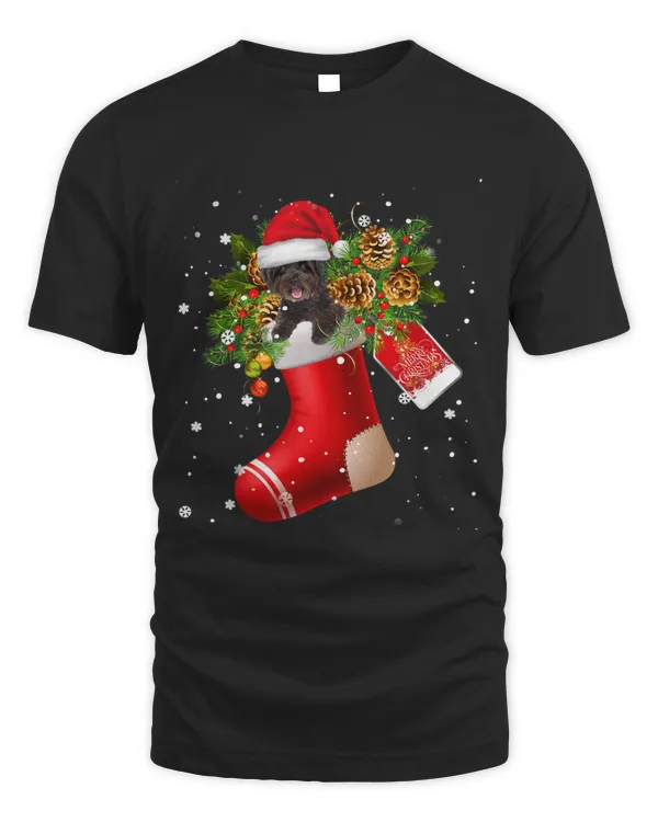 Santa Schnoodle In Christmas Sock Pajama