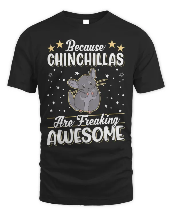 Because Chinchillas are freaking awesome Chinchilla 1