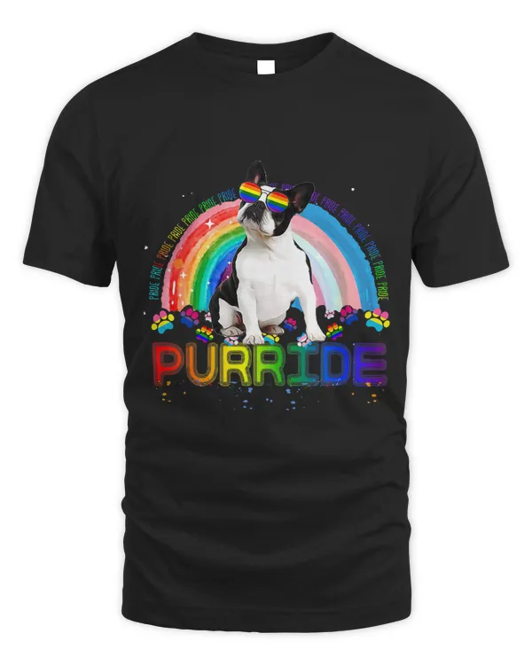 Cute Boston Terrier Gay Pride Shirt Rainbow Sunglasses LGBTQ