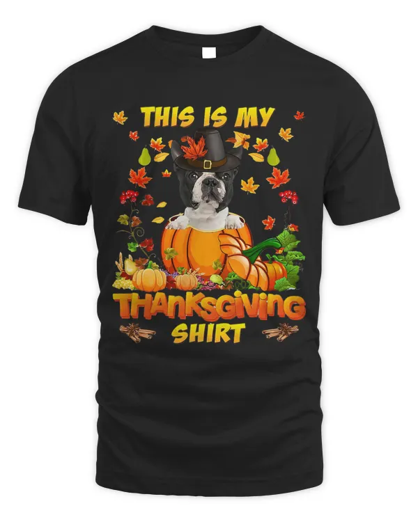 Boston Terrier Dog In Pumpkin This Is My Thanksgiving