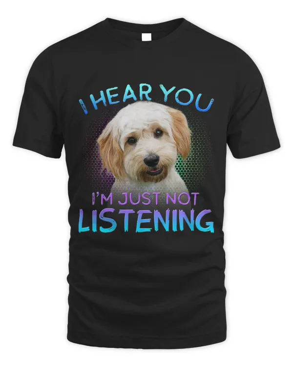 Cavachon I hear you not listening