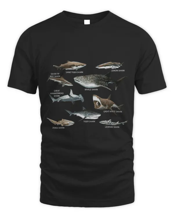 Educational Shark Types Faces Sea Mammals Marine Biologist