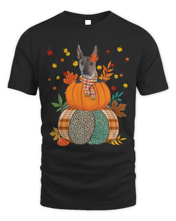 Cute Xoloitzcuintli PumpkinThanksgiving Autumn Dog Lover