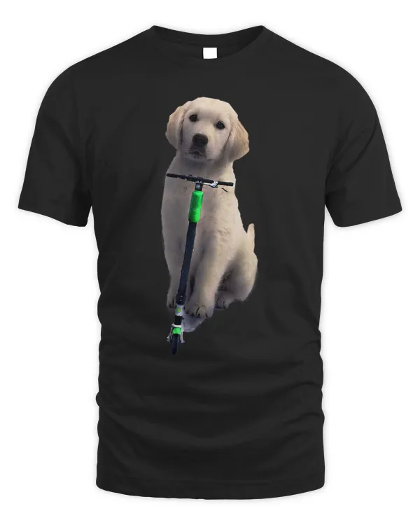 GoldenRetriever Dog Riding Scooter