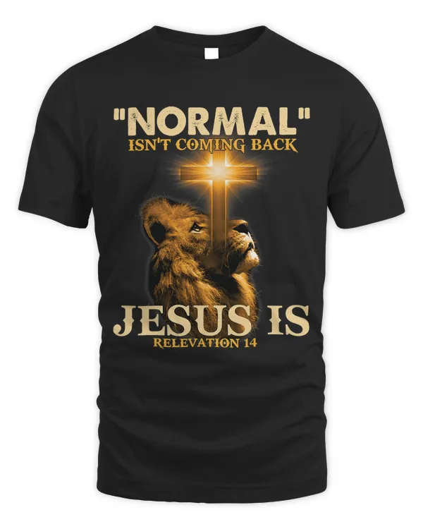 Shining Cross Normal Isnt Coming Back But Jesuss Revelation292
