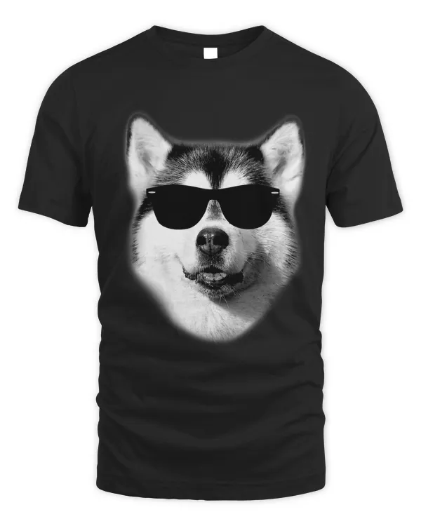 Cool Siberian Husky with Sunglasses
