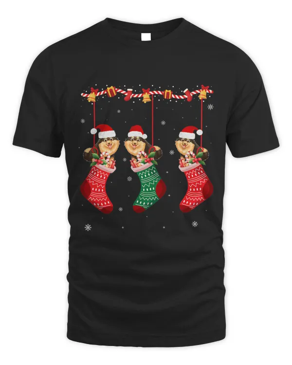 Matching Outfits for Holiday Pomeranian Dog Christmas Socks