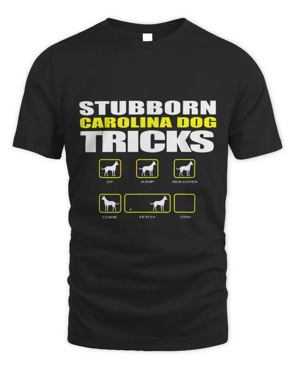 Stubborn Carolina Dog Tricks Funny Dog