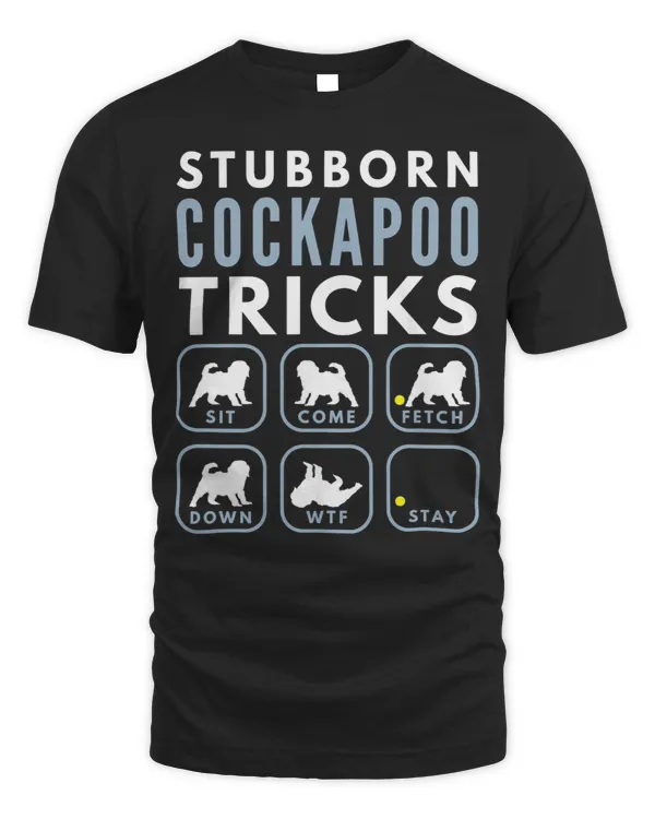 Stubborn Spoodle Tricks Dog Training