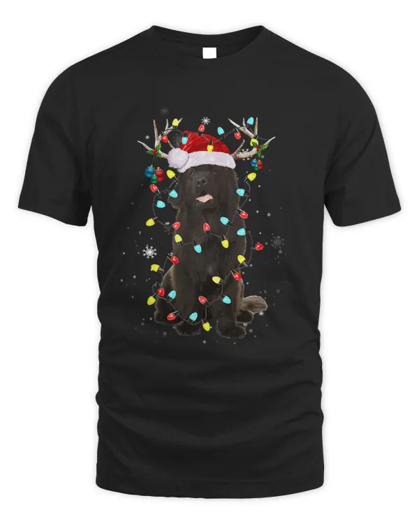 Santa Newfoundland Reindeer Light Christmas94